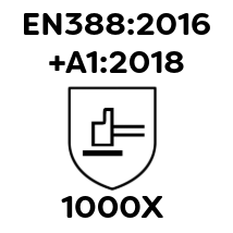 EN3882016A12018.1000X